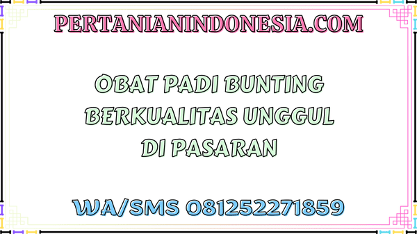 Obat Padi Bunting Berkualitas Unggul Di Pasaran